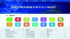 政府數(shù)據(jù)開放 仍需“上下求索”