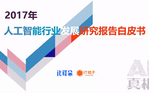 《2017年人工智能行業(yè)發(fā)展研究報告白皮書》（完整版PPT）