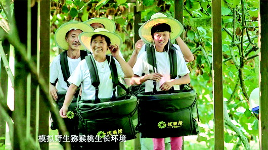 貴州：看大數(shù)據(jù)與實(shí)體經(jīng)濟(jì)如何深度融合