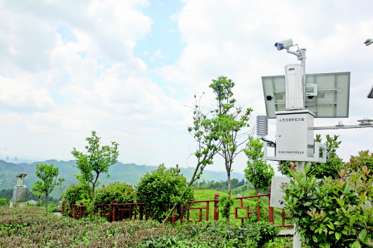 裝上“智慧芯” 貴州農(nóng)業(yè)騰“云”駕“數(shù)”