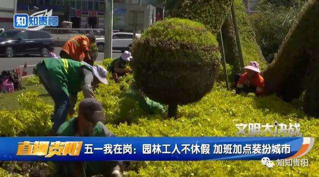 迎接數(shù)博會 園林工人加班加點(diǎn)裝扮城市