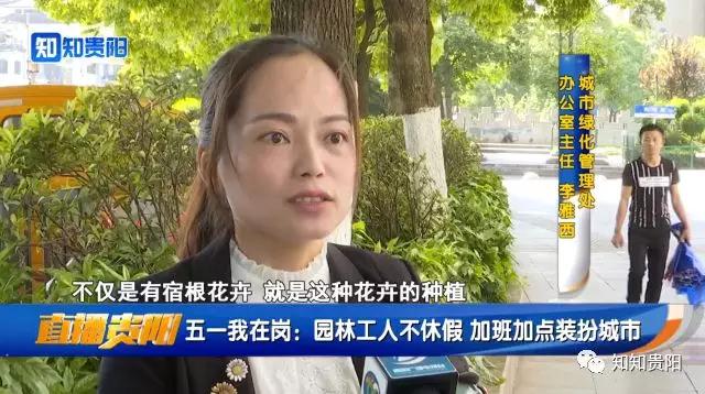 迎接數(shù)博會 園林工人加班加點(diǎn)裝扮城市