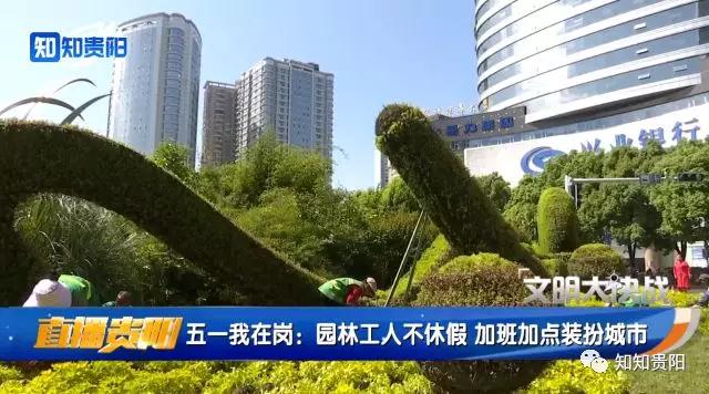 迎接數(shù)博會(huì) 園林工人加班加點(diǎn)裝扮城市
