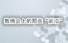 數(shù)博會高價值吸引馬來西亞展團再次參展