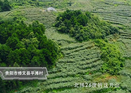 貴陽(yáng)大數(shù)據(jù)發(fā)展成就：第二集《走出去的獼猴桃》