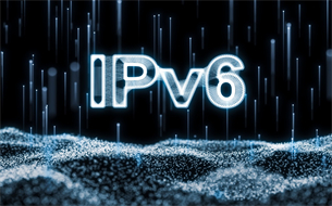 政務(wù)外網(wǎng)IPv6演進(jìn)技術(shù)白皮書（2021）