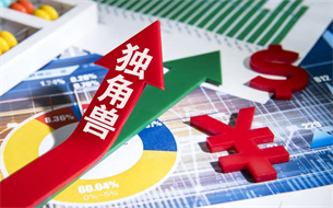 2021年中國(guó)獨(dú)角獸企業(yè)發(fā)展研究