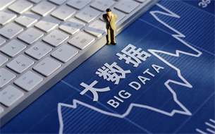 大數據白皮書（2021年）