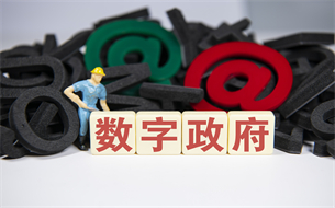 “數(shù)字政府”建設(shè)大踏步推進