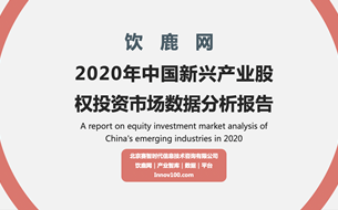 2020年中國新興產(chǎn)業(yè)股權投資市場數(shù)據(jù)分析報告