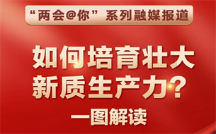 如何培育壯大新質(zhì)生產(chǎn)力？一圖解讀